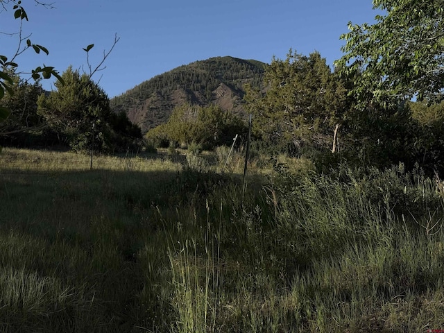 43867 Long Gulch Rd, Crawford, CO 81415 - view of mountain background