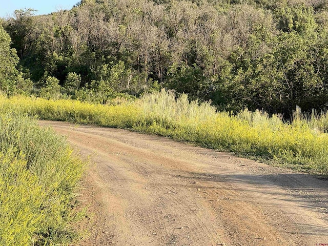 43867 Long Gulch Rd, Crawford, CO 81415 - view of dirt / gravel road with a forest view