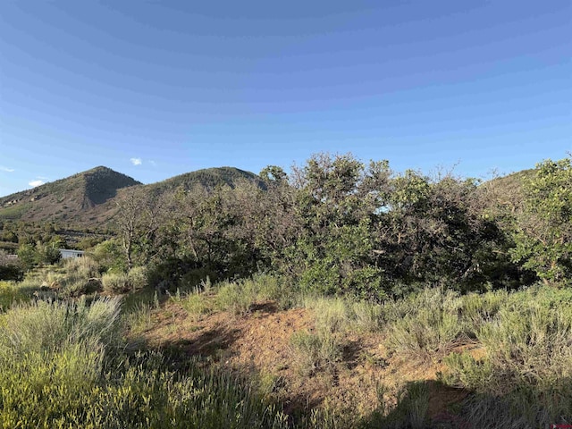 43867 Long Gulch Rd, Crawford, CO 81415 - view of mountain background