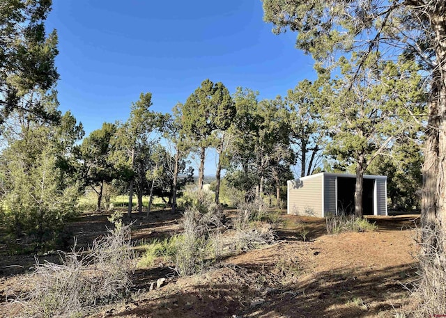 14245 Rd 21, Cortez, CO 81321 - view of yard featuring an outdoor structure