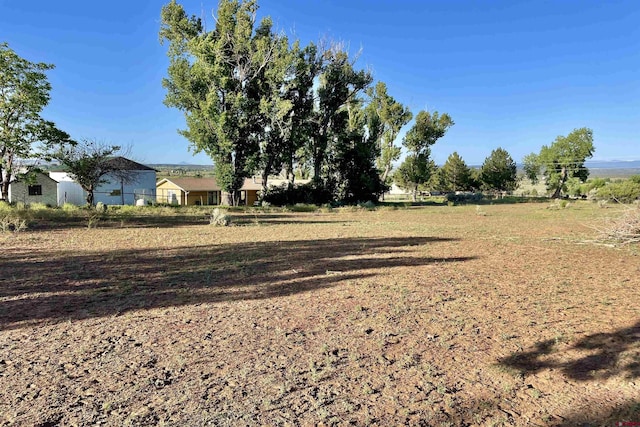 14245 Rd 21, Cortez, CO 81321 - view of yard