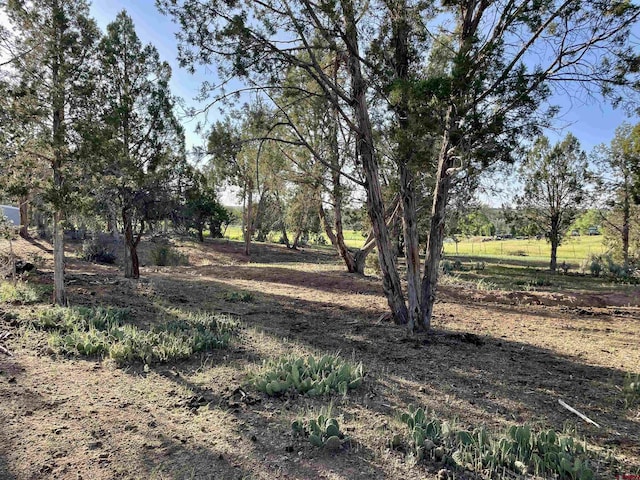 14245 Rd 21, Cortez, CO 81321 - view of yard
