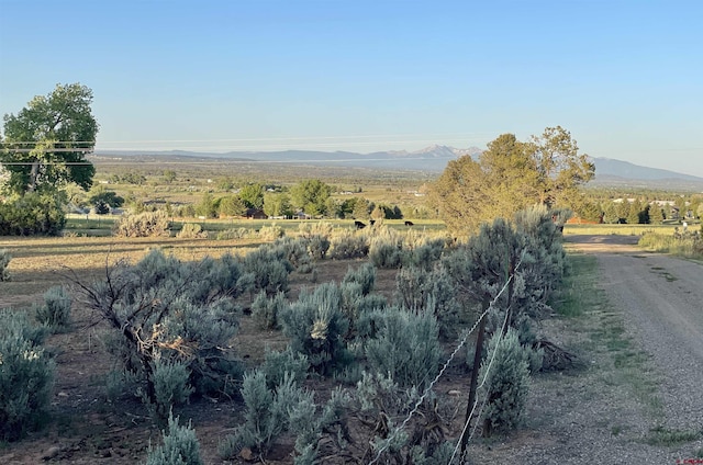 14245 Rd 21, Cortez, CO 81321 - mountain view with rural landscape