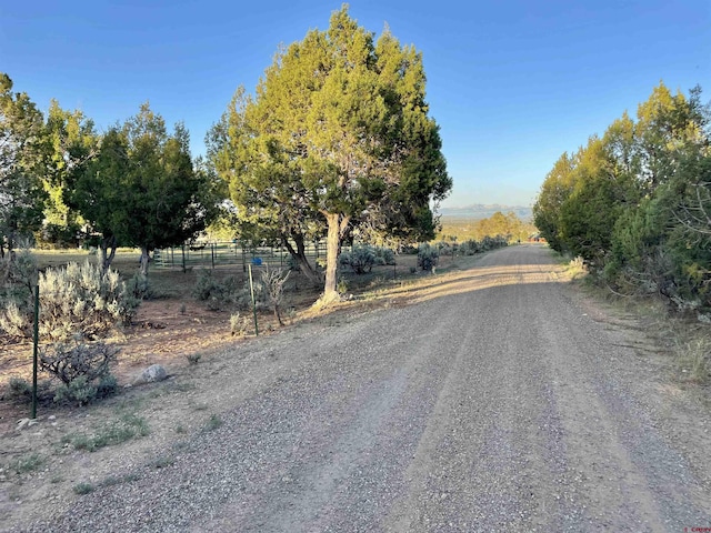 14245 Rd 21, Cortez, CO 81321 - view of road featuring a view of countryside