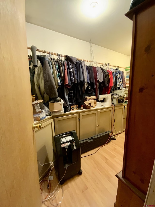 274 Tobin Ln, Gunnison, CO 81230 - spacious closet featuring light wood finished floors