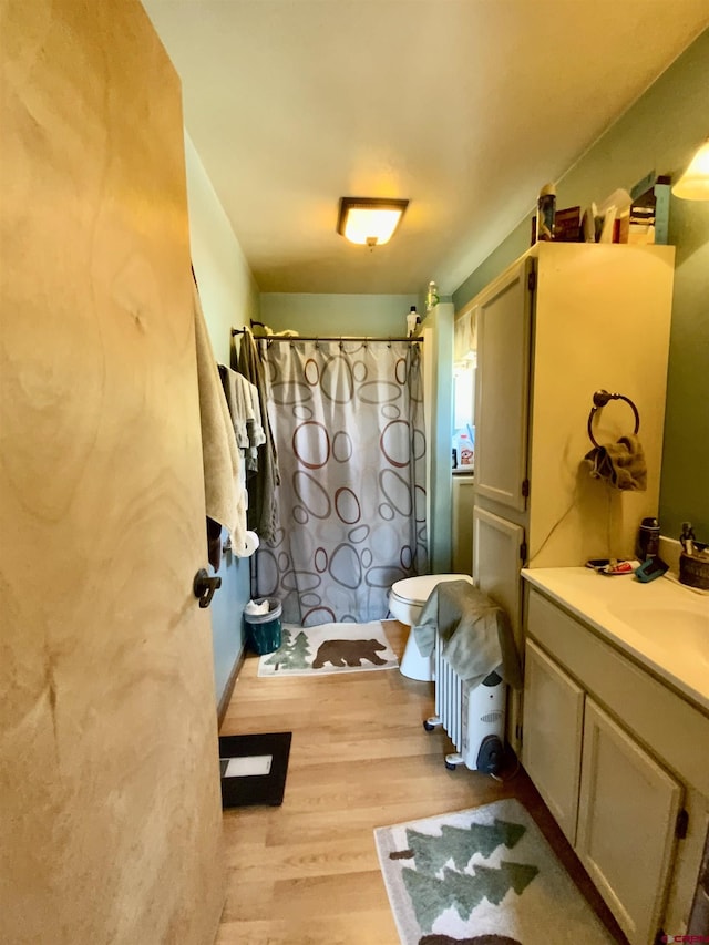 274 Tobin Ln, Gunnison, CO 81230 - bathroom with vanity, wood finished floors, and a shower with curtain