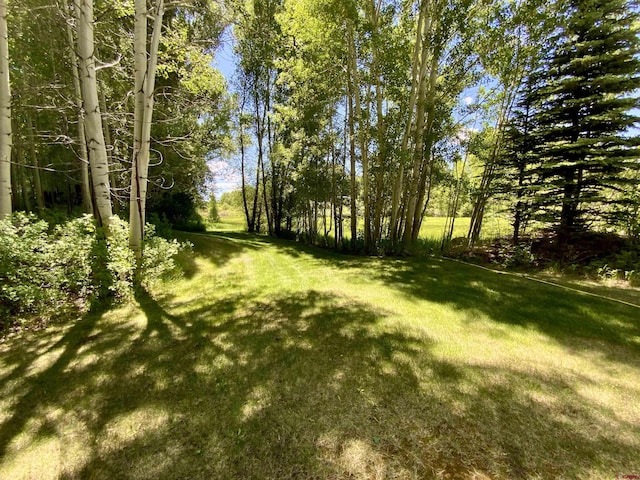 274 Tobin Ln, Gunnison, CO 81230 - view of grassy yard