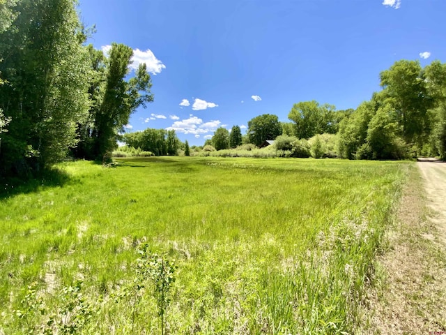 274 Tobin Ln, Gunnison, CO 81230 - view of local wilderness with rural landscape