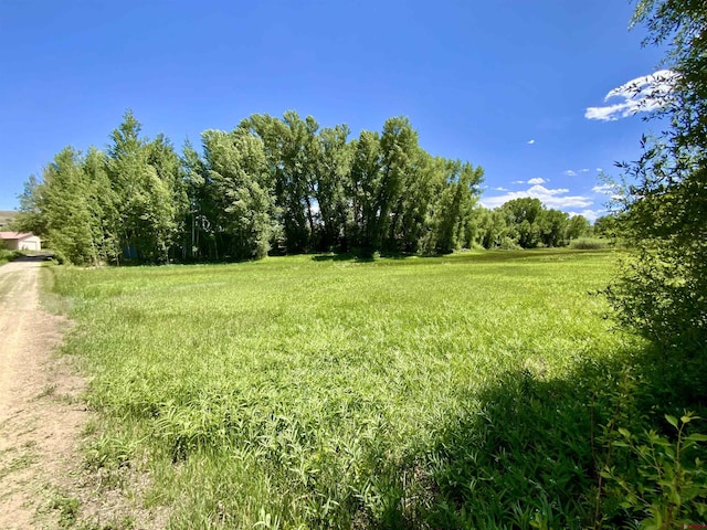 274 Tobin Ln, Gunnison, CO 81230 - view of yard