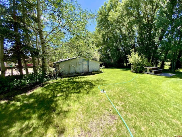 274 Tobin Ln, Gunnison, CO 81230 - view of grassy yard with an outdoor structure