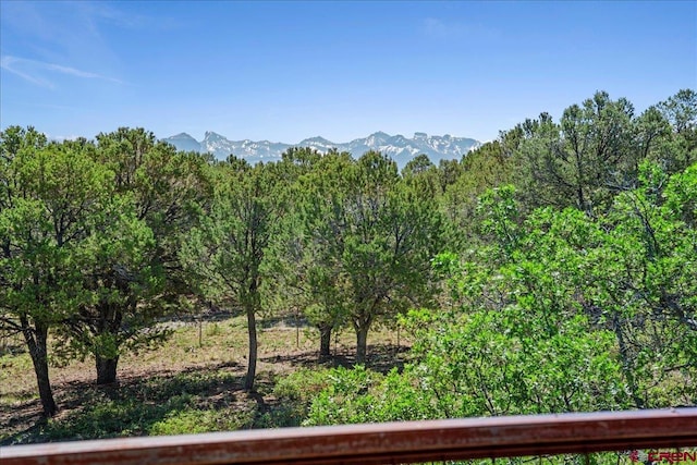 122 Juniper Rd, Ridgway, CO 81432 - view of mountain background with a forest