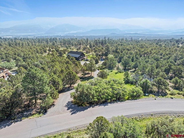 122 Juniper Rd, Ridgway, CO 81432 - aerial view of a forest and a mountainous background