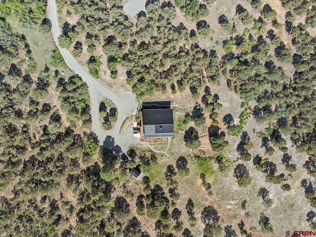 122 Juniper Rd, Ridgway, CO 81432 - aerial view of property and surrounding area