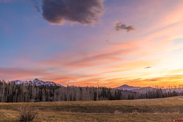 404 Benchmark Dr, Mountain Village, CO 81435 - mountain view featuring a heavily wooded area