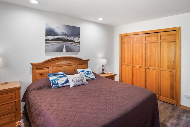 50827 N 550th Hwy Unit 329, Durango, CO 81301 - bedroom with dark wood finished floors, recessed lighting, and a closet