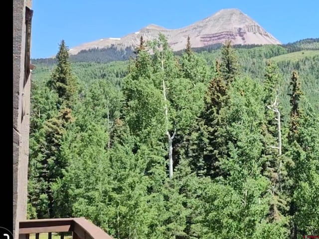 50827 N 550th Hwy Unit 329, Durango, CO 81301 - view of mountain background featuring a forest