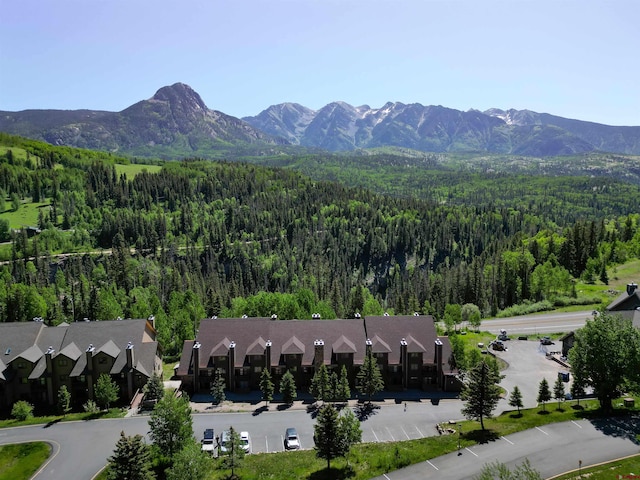 50827 N 550th Hwy Unit 329, Durango, CO 81301 - mountain view featuring a heavily wooded area