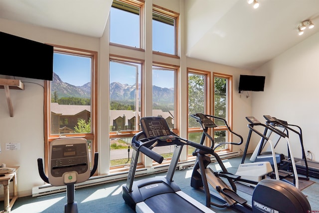 50827 N 550th Hwy Unit 329, Durango, CO 81301 - gym with vaulted ceiling