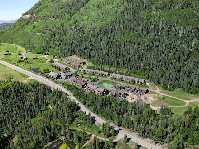 50827 N 550th Hwy Unit 329, Durango, CO 81301 - aerial overview of property's location featuring a forest and a mountain backdrop