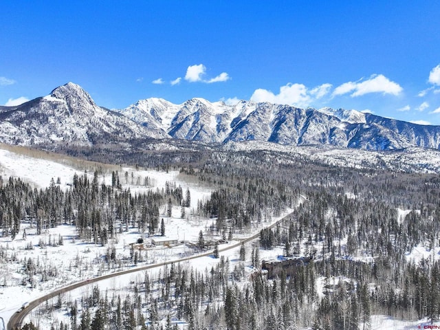 50827 N 550th Hwy Unit 329, Durango, CO 81301 - mountain view