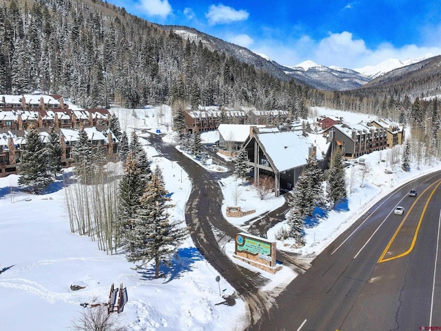 50827 N 550th Hwy Unit 329, Durango, CO 81301 - view of mountain background featuring a forest