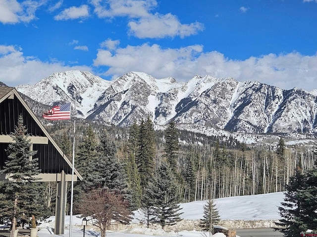 50827 N 550th Hwy Unit 329, Durango, CO 81301 - view of mountain background