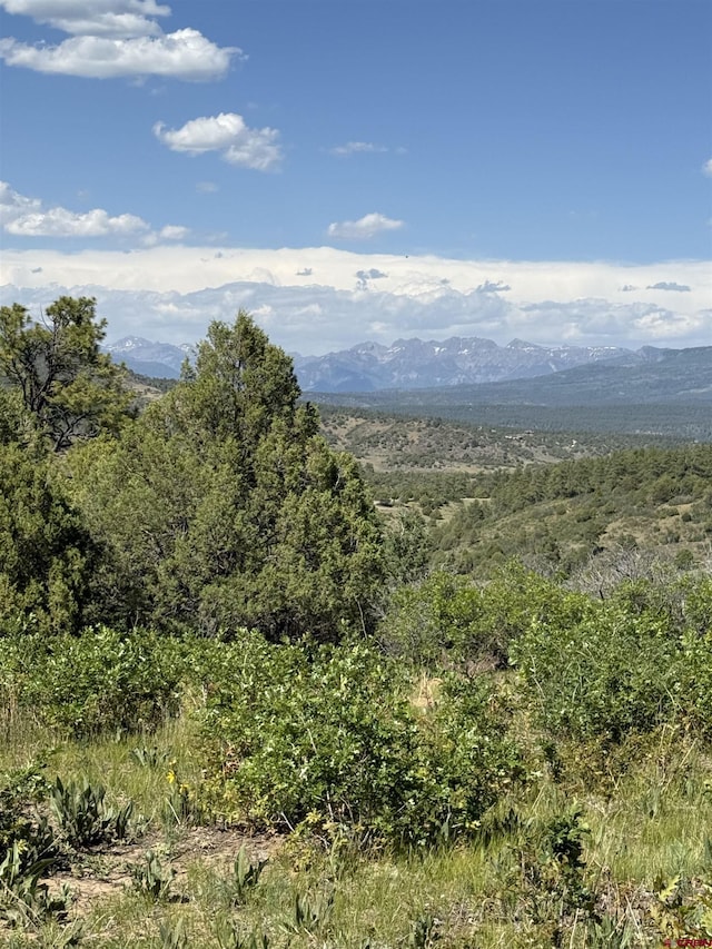 865 Top Ridge Pl, Pagosa Springs, CO 81147