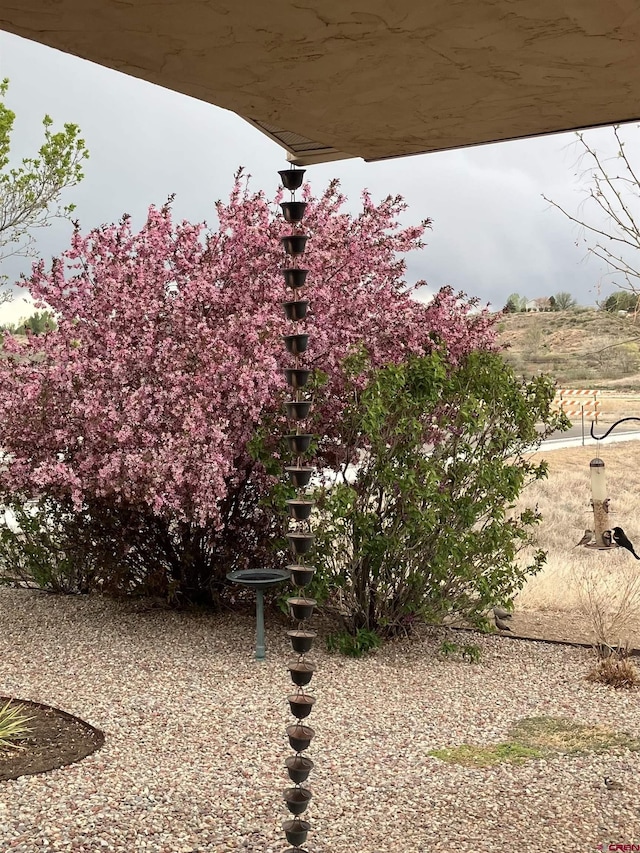 521 Alta Lakes Ave, Montrose, CO 81403 - view of yard