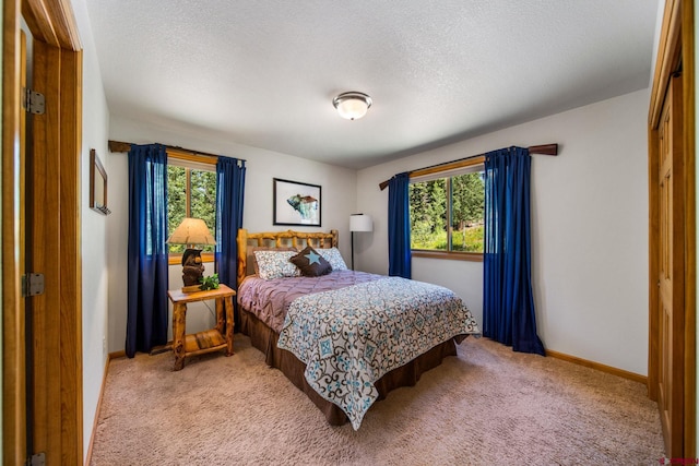 261 Aspen Dr, Durango, CO 81301 - bedroom featuring carpet floors and a textured ceiling