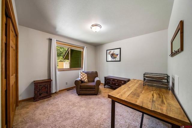 261 Aspen Dr, Durango, CO 81301 - carpeted office featuring baseboards