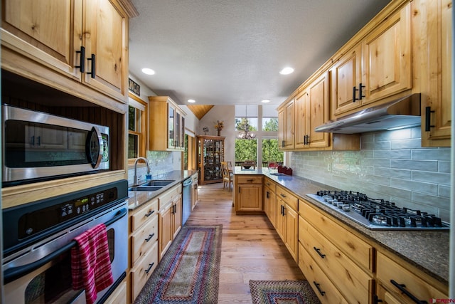 261 Aspen Dr, Durango, CO 81301 - kitchen featuring stainless steel appliances, under cabinet range hood, light wood finished floors, recessed lighting, and tasteful backsplash