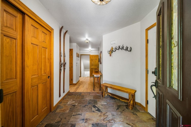 261 Aspen Dr, Durango, CO 81301 - foyer with baseboards and stone tile floors