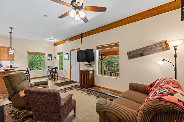 17401 County Road 501, Bayfield, CO 81122 - living room with light wood-style floors and ceiling fan