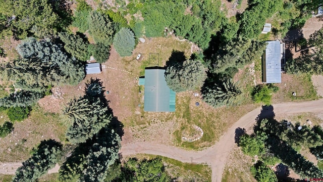 17401 County Road 501, Bayfield, CO 81122 - aerial overview of property's location