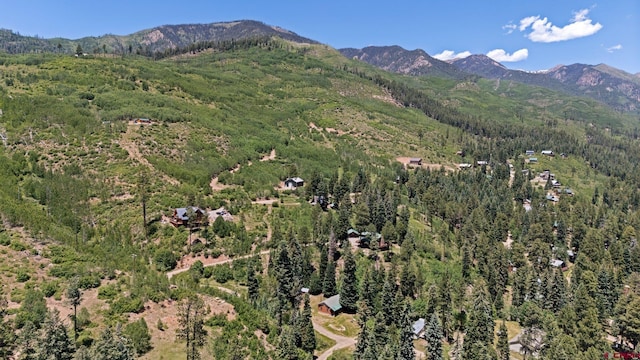 17401 County Road 501, Bayfield, CO 81122 - aerial overview of property's location with a mountainous background and a heavily wooded area