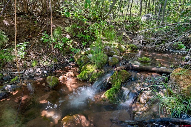 17401 County Road 501, Bayfield, CO 81122 - view of nature