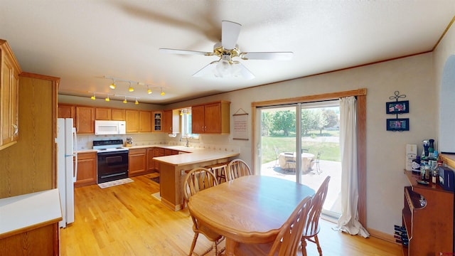 100 Paonia Ave, Paonia, CO 81428 - dining area with light wood-style flooring and a ceiling fan