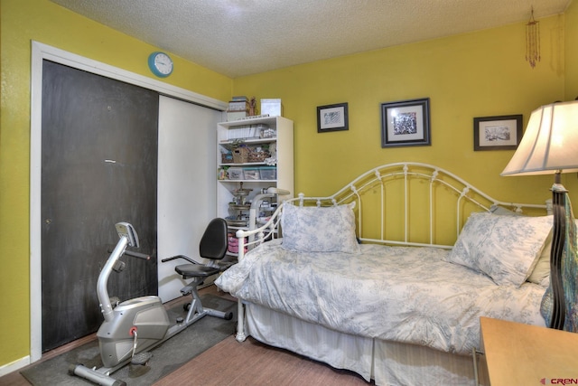 2920 Holly Ave Unit 104, Durango, CO 81301 - bedroom with a closet, a textured ceiling, and carpet