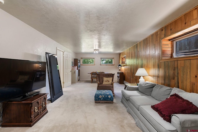20 Jenkins Dr, Durango, CO 81301 - living room with wood walls and light colored carpet
