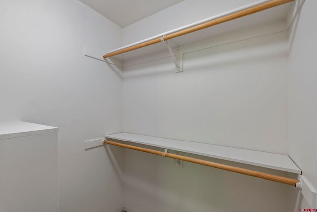1100 Goeglein Gulch Rd Unit 171, Durango, CO 81301 - view of walk in closet