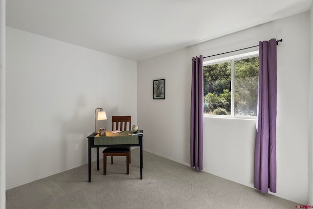 1100 Goeglein Gulch Rd Unit 171, Durango, CO 81301 - office area with light colored carpet