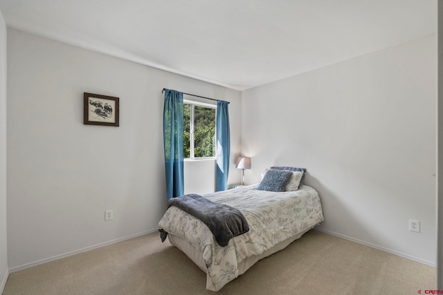 1100 Goeglein Gulch Rd Unit 171, Durango, CO 81301 - carpeted bedroom featuring baseboards