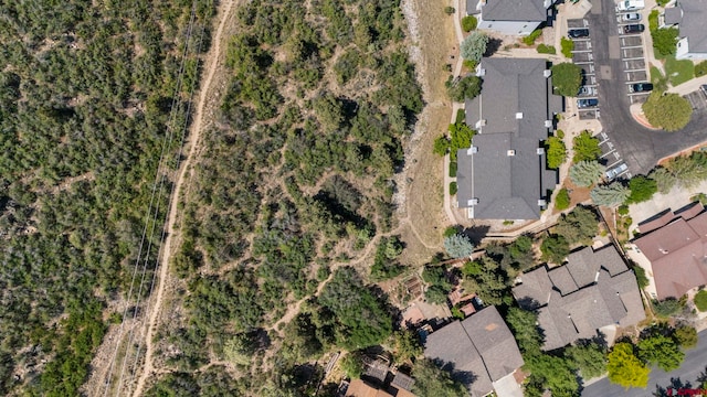 1100 Goeglein Gulch Rd Unit 171, Durango, CO 81301 - aerial view of property's location with nearby suburban area