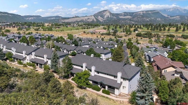 1100 Goeglein Gulch Rd Unit 171, Durango, CO 81301 - aerial perspective of suburban area featuring a mountainous background