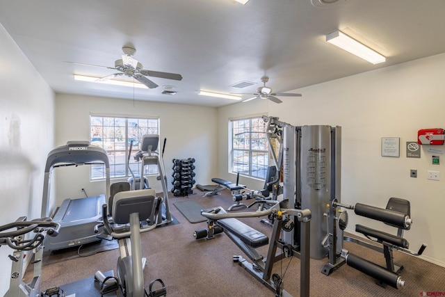 1100 Goeglein Gulch Rd Unit 171, Durango, CO 81301 - workout area featuring ceiling fan