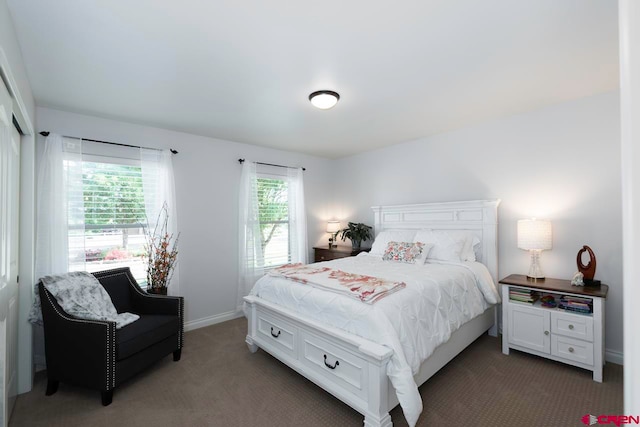 1734 Dry Creek Cir, Delta, CO 81416 - carpeted bedroom with baseboards