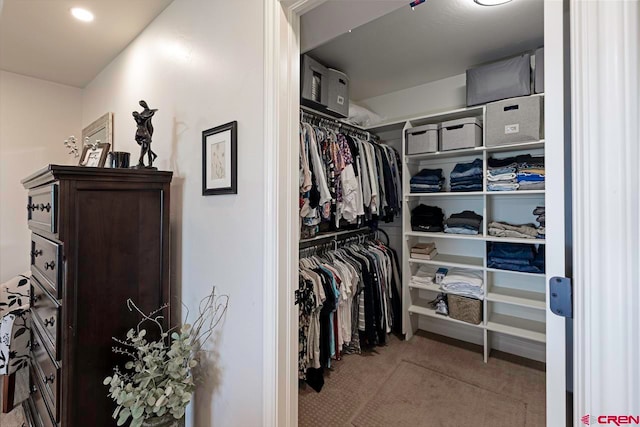 1734 Dry Creek Cir, Delta, CO 81416 - walk in closet featuring carpet
