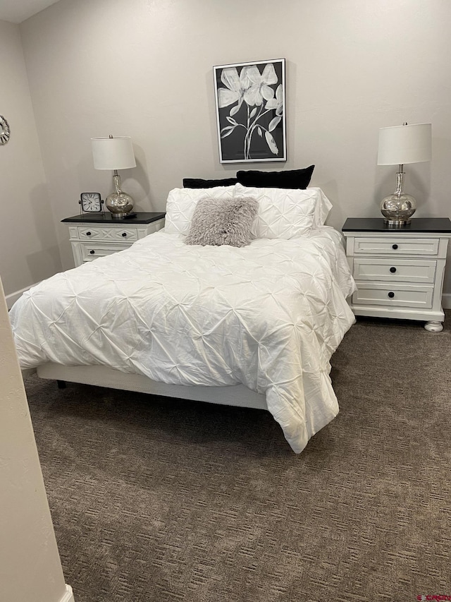 1734 Dry Creek Cir, Delta, CO 81416 - bedroom featuring dark colored carpet