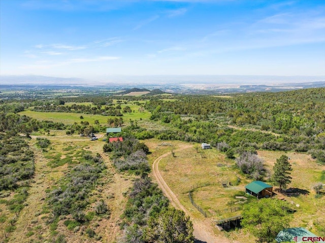 21932 2225th Rd, Cedaredge, CO 81413 - view of rural area featuring a forest