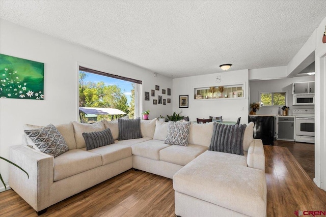 21932 2225th Rd, Cedaredge, CO 81413 - living area featuring dark wood-style floors and a textured ceiling